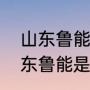 山东鲁能怎么变成山东泰山了？（山东鲁能是省队吗？）