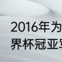 2016年为什么没有世界杯？（2016世界杯冠亚军？）