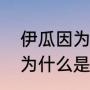 伊瓜因为什么和梅西闹翻？（伊瓜因为什么是阿根廷？）