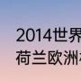 2014世界杯冠军是谁荷兰对捷克？（荷兰欧洲杯2021成绩？）