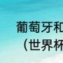 葡萄牙和比利时哪个队实力比较强？（世界杯比利时队实力分析？）