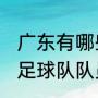 广东有哪些足球名宿？（1987年广东足球队队员？）