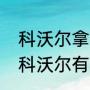 科沃尔拿过三分大赛冠军吗？（凯尔科沃尔有总冠军吗？）