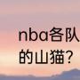 nba各队成立时间？（乔丹哪年收购的山猫？）