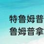 特鲁姆普拿了多少斯诺克冠军？（特鲁姆普拿了多少斯诺克冠军？）