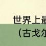 世界上最大的计数单位不是古戈尔？（古戈尔的最大单位？）