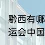 黔西有哪些私立中学？（2012伦敦奥运会中国队谁担任旗手？）