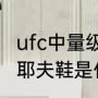 ufc中量级奇马耶夫排多少名？（奇马耶夫鞋是什么牌子的？）