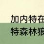 加内特在森林狼前期几年？（求加内特森林狼时期06-07年阵容？）