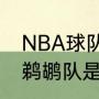 NBA球队鹈鹕队前身是那个？（nba鹈鹕队是哪个城市的？）