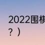 2022围棋世界排名？（围棋世冠排名？）