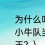 为什么叫诺维斯基叫诺天王？（NBA小牛队当家诺维斯基为何被称为诺天王？）