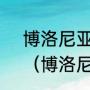 博洛尼亚大学相当于国内什么学校？（博洛尼亚大学文凭含金量？）