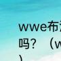 wwe布洛克vs兰迪，非要订阅才能看吗？（wwe击败布洛克的有哪些人？）