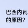 巴西内瓦尔资料？（巴西队7比1惨败的原因？）