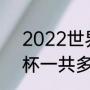 2022世界杯各队世界排名？（世界杯一共多少支球队？）