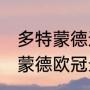 多特蒙德进入23年欧冠了么？（多特蒙德欧冠最佳战绩？）