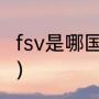 fsv是哪国的？（fsv轮胎什么牌子好？）