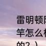 雷明顿阿帕奇超硬碳素长节远投竿鱼竿怎么样？（阿帕琦海竿是什么牌子的？）