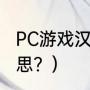 PC游戏汉化组？（yz中文代表什么意思？）