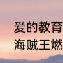 爱的教育马尔科寻母的主要内容？（海贼王燃烧意志马尔科技能加点？）