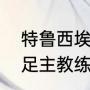 特鲁西埃战术特点？（法国籍日本男足主教练？）