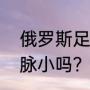 俄罗斯足球属于哪个区？（乌拉尔山脉小吗？）