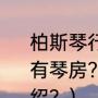 柏斯琴行怎么样？钢琴一对一多少钱？有琴房？（柏斯优才钢琴课程体系介绍？）