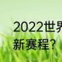 2022世界杯亚军？（世界杯2022最新赛程？）