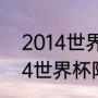 2014世界杯阿根廷队员名单？（2014世界杯阿根廷排名？）