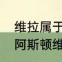 维拉属于英超哪个派系？（阿森纳对阿斯顿维拉战术分析？）