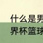 什么是男篮世预赛？（nba篮球和世界杯篮球一样吗？）