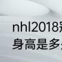 nhl2018冠军？（尼古拉斯·霍尔特的身高是多少？）