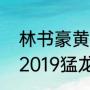 林书豪黄蜂时期场均数据？（林书豪2019猛龙总冠军数据？）