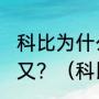 科比为什么离婚，科比瓦妮莎离婚后又？（科比和瓦丽莎有可能复婚吗？）