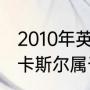 2010年英超纽卡斯尔联队阵容？（纽卡斯尔属于哪个国的？）