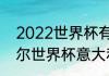 2022世界杯有意大利吗（2022卡塔尔世界杯意大利出线了吗）