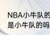 NBA小牛队的当家球星是谁（约基奇是小牛队的吗）