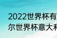 2022世界杯有意大利吗（2022卡塔尔世界杯意大利出线了吗）