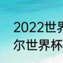 2022世界杯有意大利吗（2022卡塔尔世界杯意大利出线了吗）