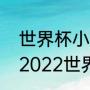 世界杯小组赛积分相同怎么算出线（2022世界杯小组赛多少分出线）