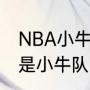 NBA小牛队的当家球星是谁（约基奇是小牛队的吗）