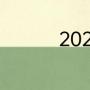 2020亚冠比赛晋级规则