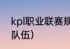 kpl职业联赛规则（kpl一共有多少支队伍）