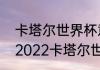 卡塔尔世界杯意大利是怎么出局的（2022卡塔尔世界杯意大利出线了吗）