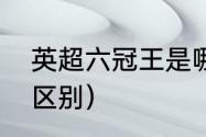 英超六冠王是哪六冠（英超和足总杯区别）