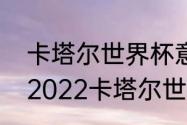 卡塔尔世界杯意大利是怎么出局的（2022卡塔尔世界杯意大利出线了吗）