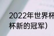 2022年世界杯冠亚军（卡塔尔世界杯新的冠军）