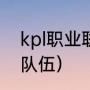 kpl职业联赛规则（kpl一共有多少支队伍）