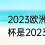 2023欧洲超级杯决赛时间（下届欧洲杯是2023年吗）